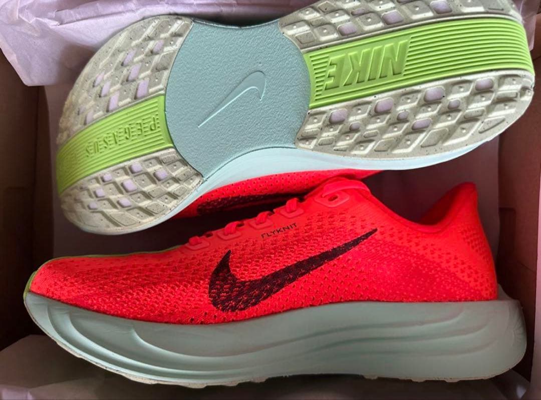 【新品未使用箱付き】NIKE PEGASUS PLUS/25.5cm