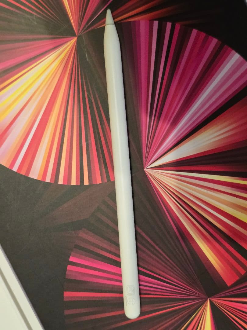 iPad本体 iPad Pro 11 M1 256GB ApplePencil2