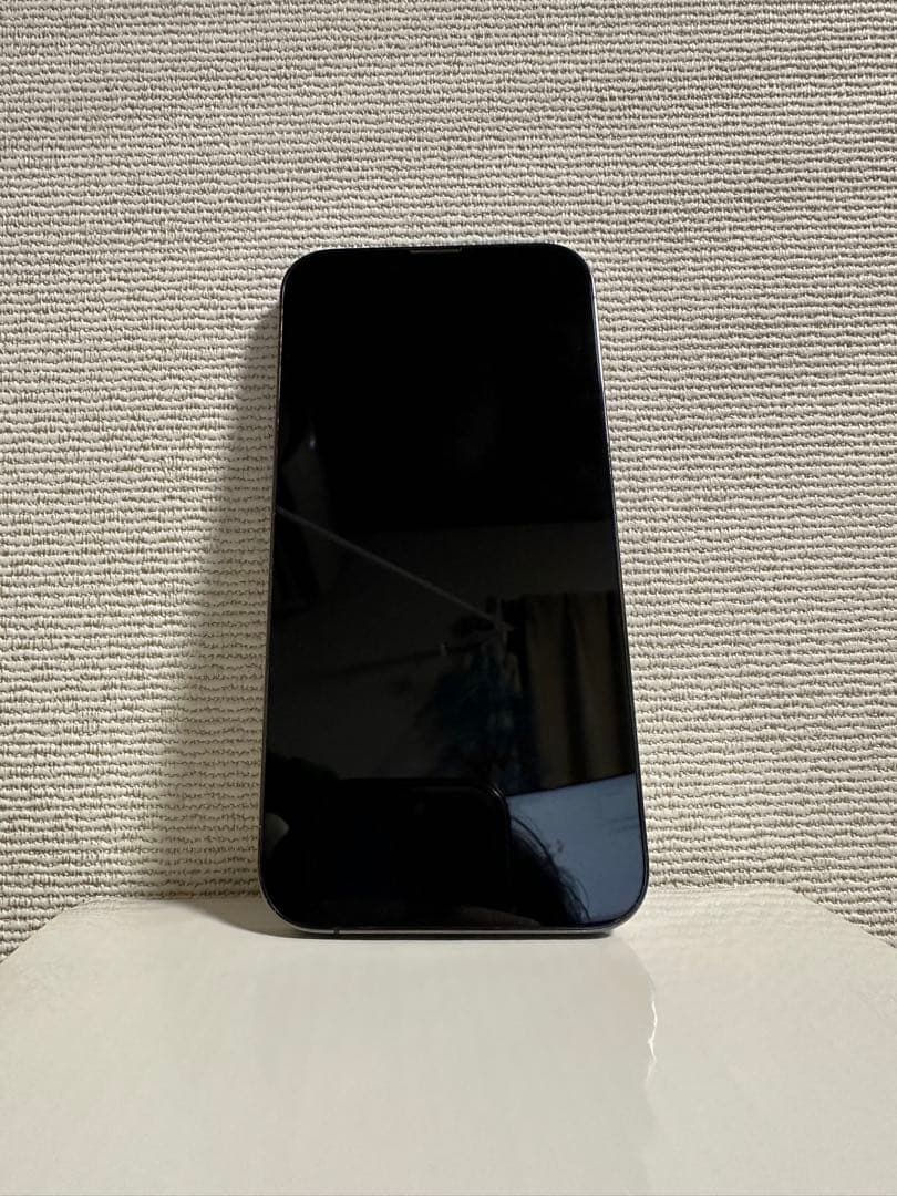 Apple iPhone 13 Pro グラファイト 本体ジャンク