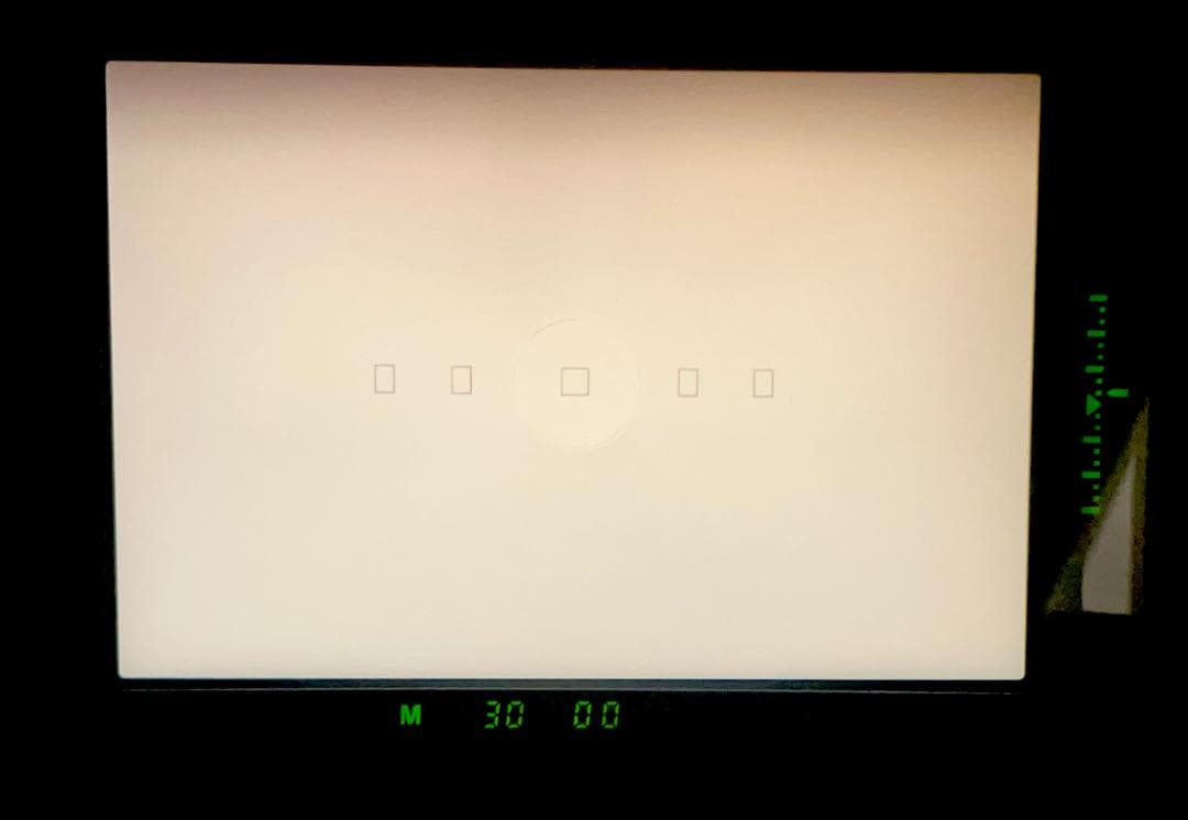 Canon EOS-1N フィルム一眼レフカメラ キャノン