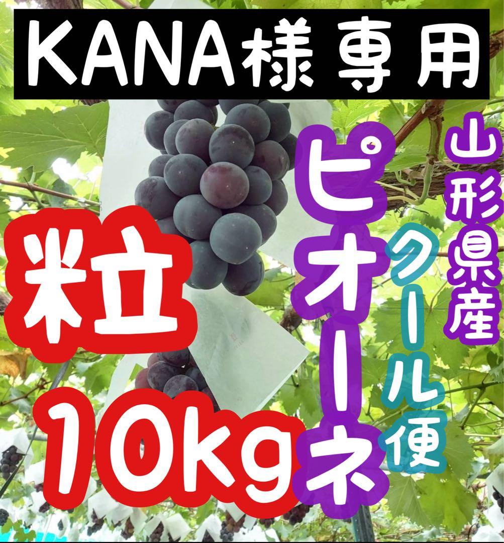 ★KANA★クール便★山形県産　ピオーネ　粒　10キロ　ご家庭用