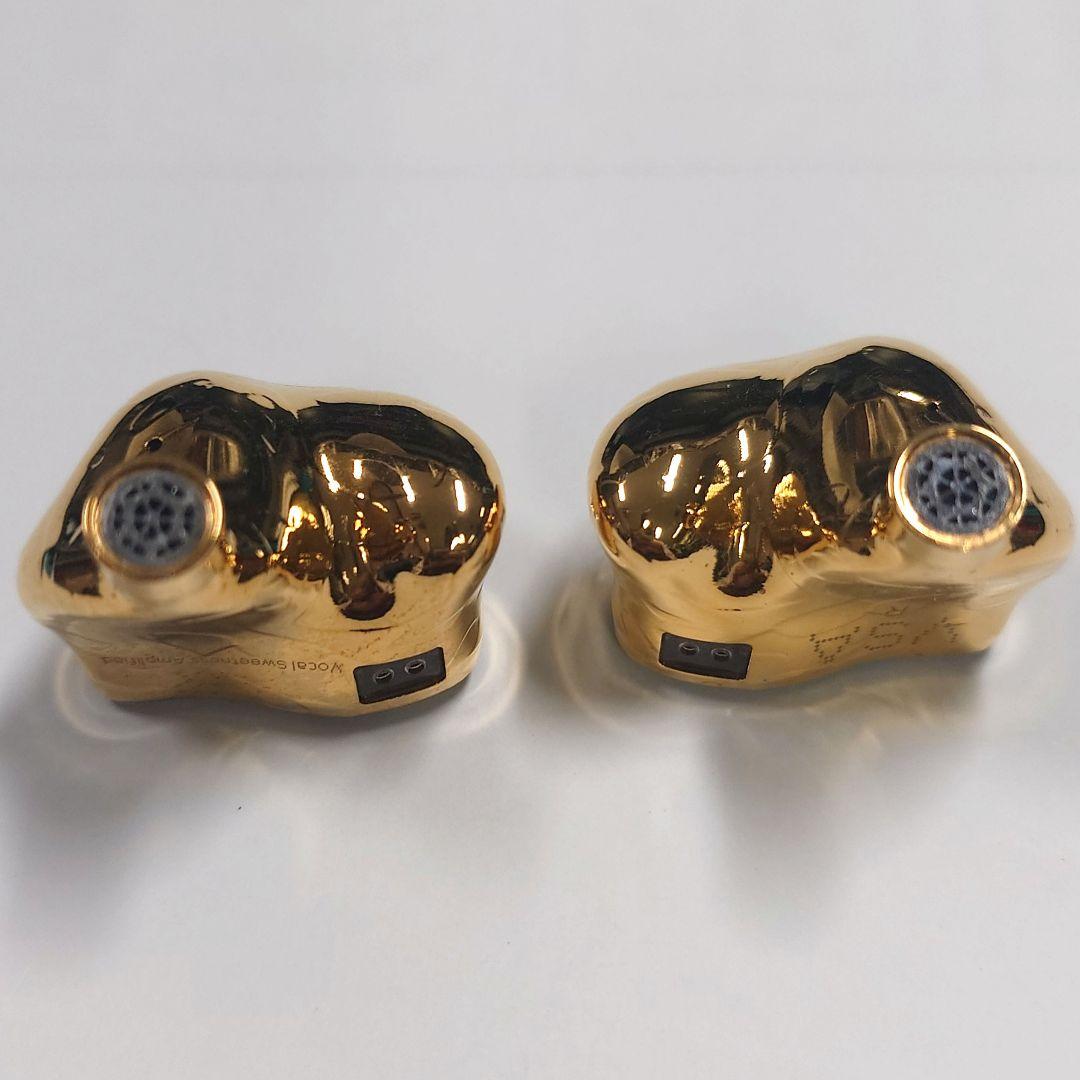 【美品】EarAcoustic Audio VSA-LTD 有線イヤホン