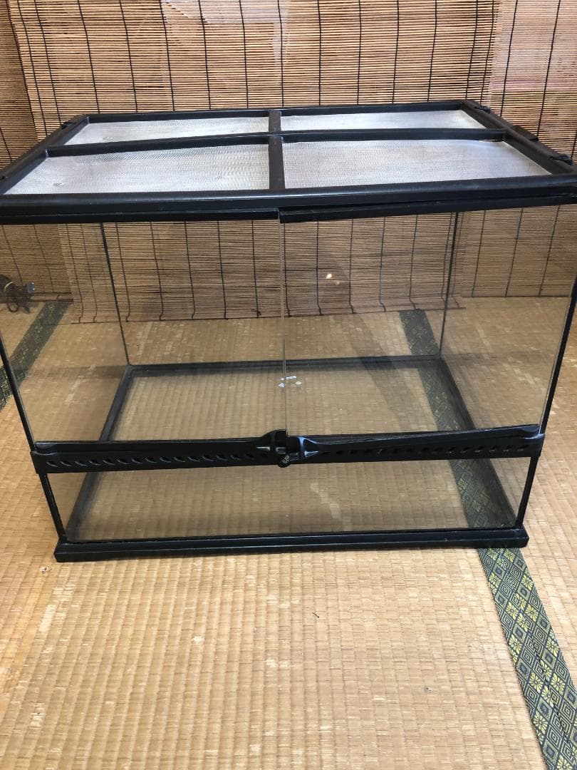 エキゾテラ GEX EXOTERRA グラステラリウム 6045 PT2610