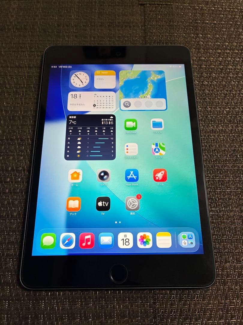 ジャンクiPad mini5 64Gb wifi