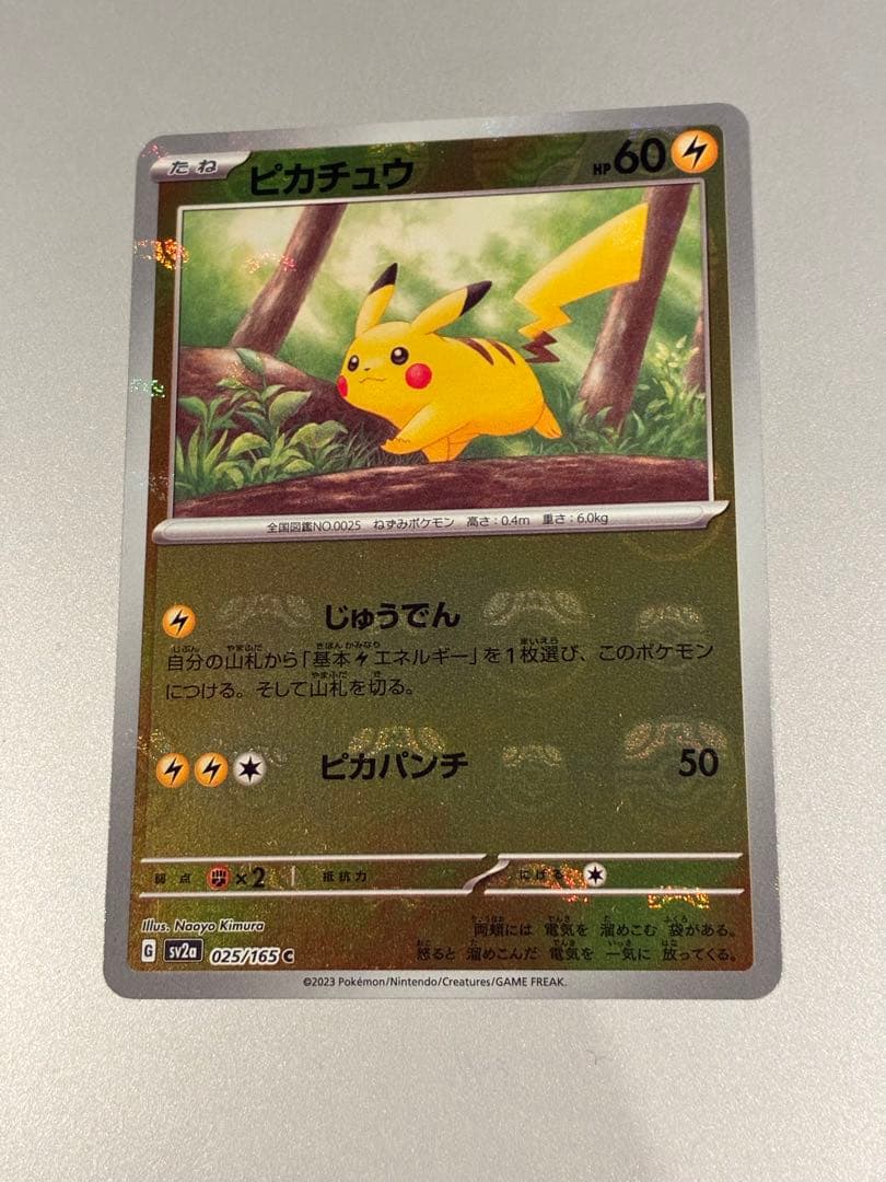 マスボピカチュウ