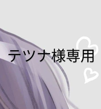 テツナページです。