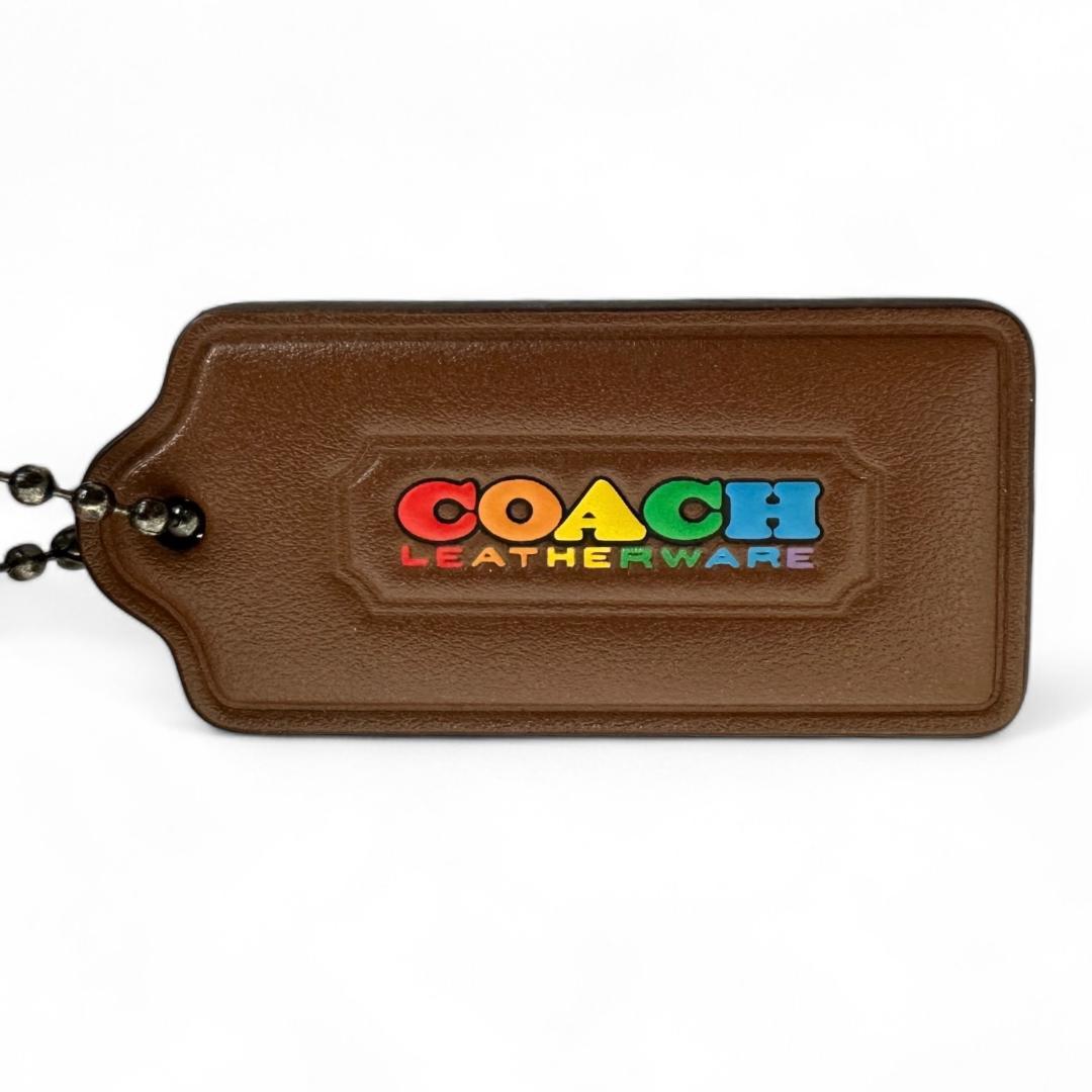 COACH 1809 シグネチャー マルチカラー ボディバッグ ウエストバッグ