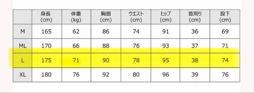 Hurley セミドライLサイズ新品