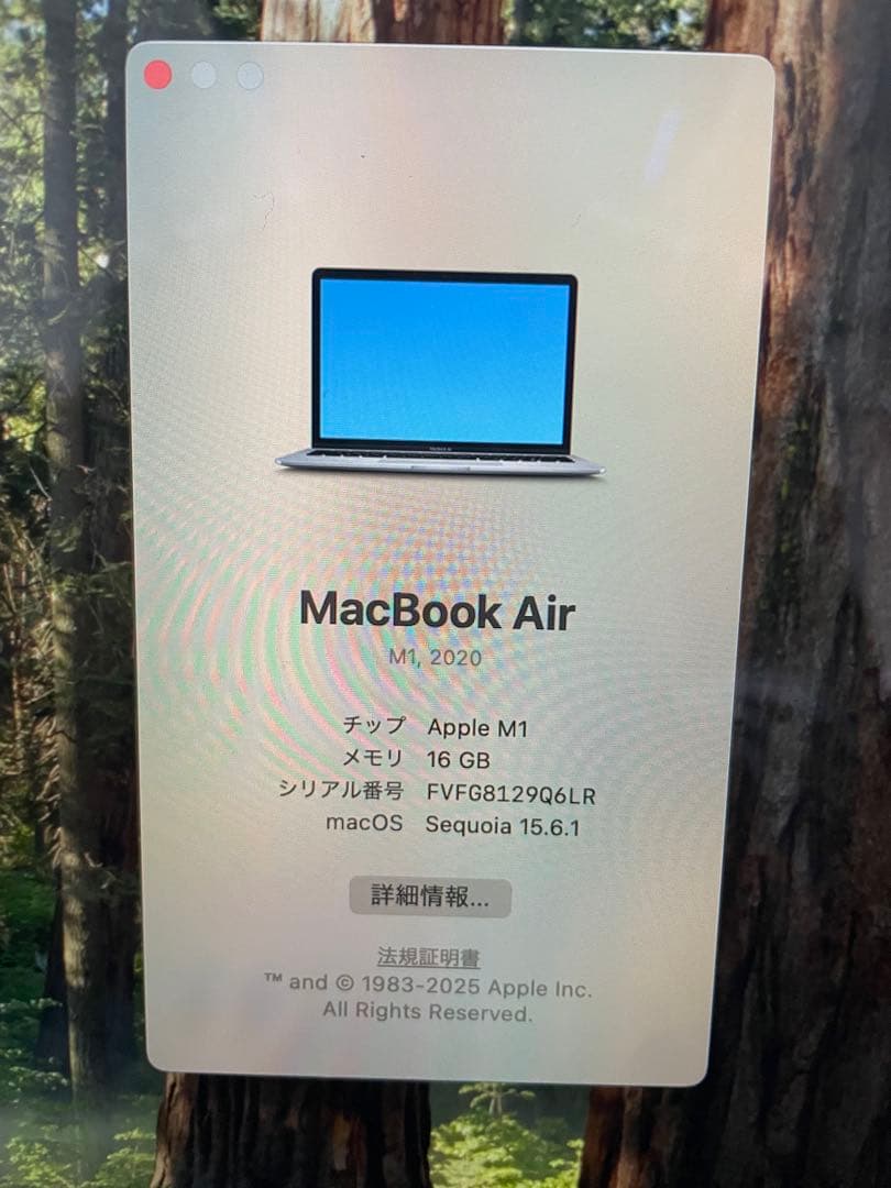 Apple M1MacBookAir本体　16GB512GB