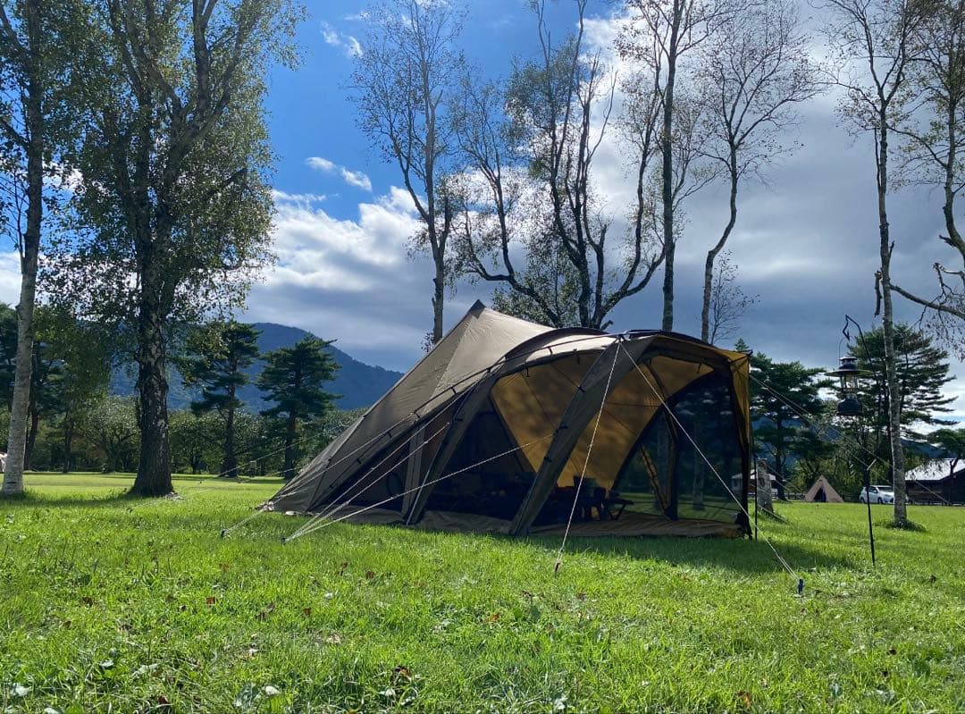 ゼインアーツ　ロロ