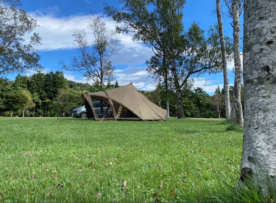 ゼインアーツ　ロロ