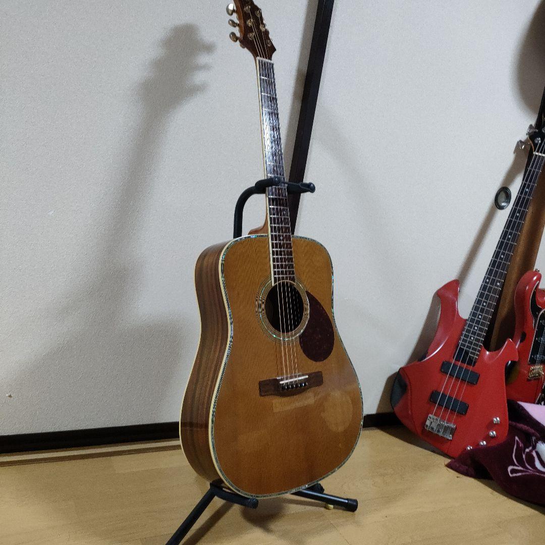 ギター Greg Bennett D-8