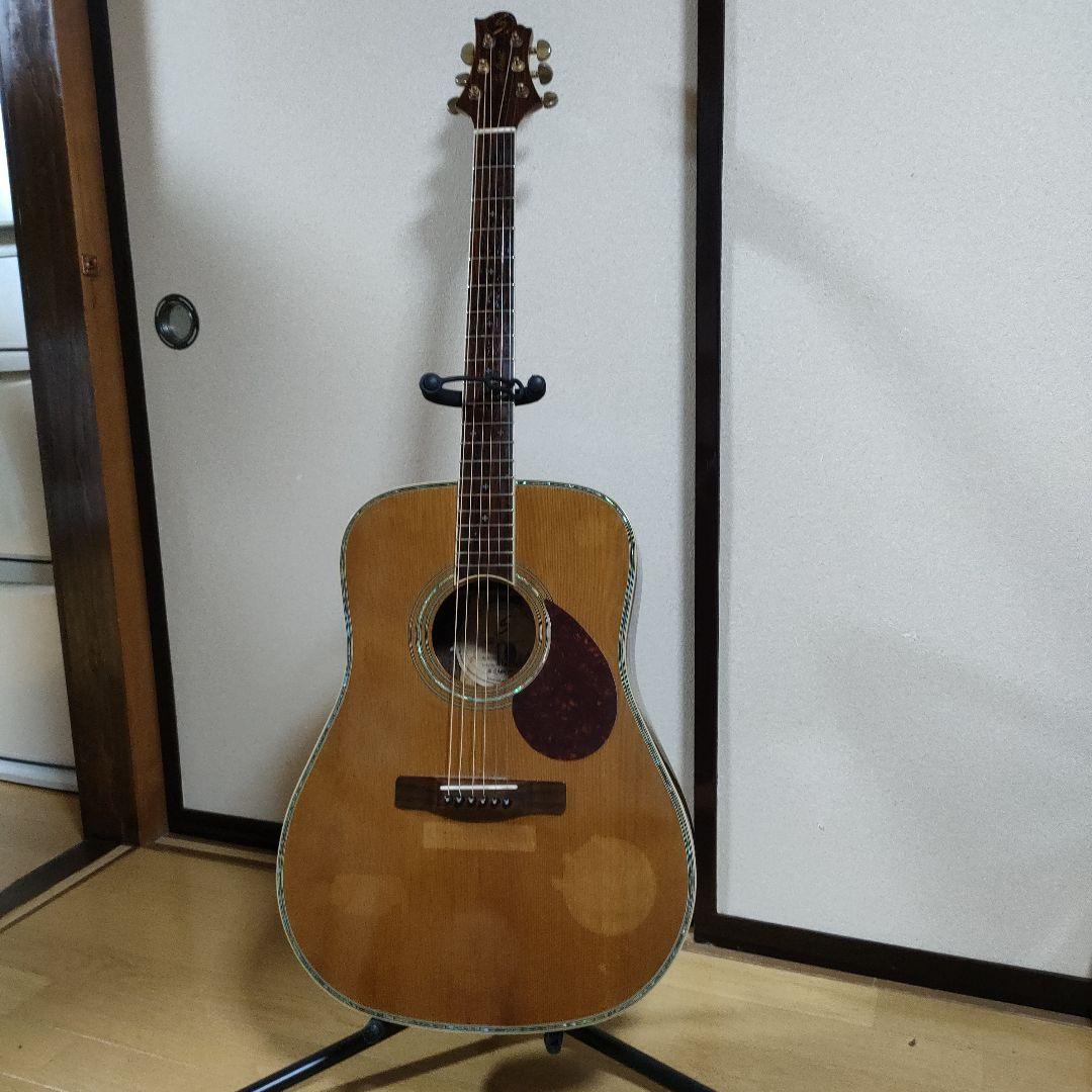 ギター Greg Bennett D-8