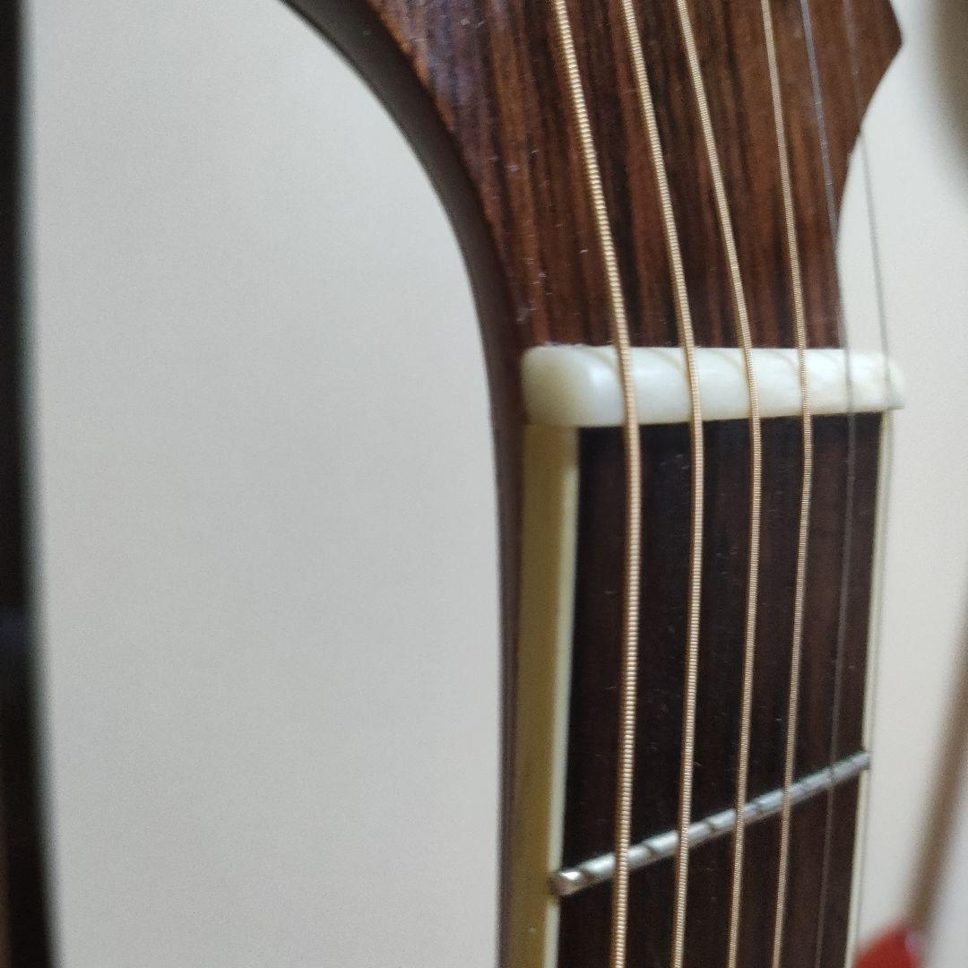 ギター Greg Bennett D-8