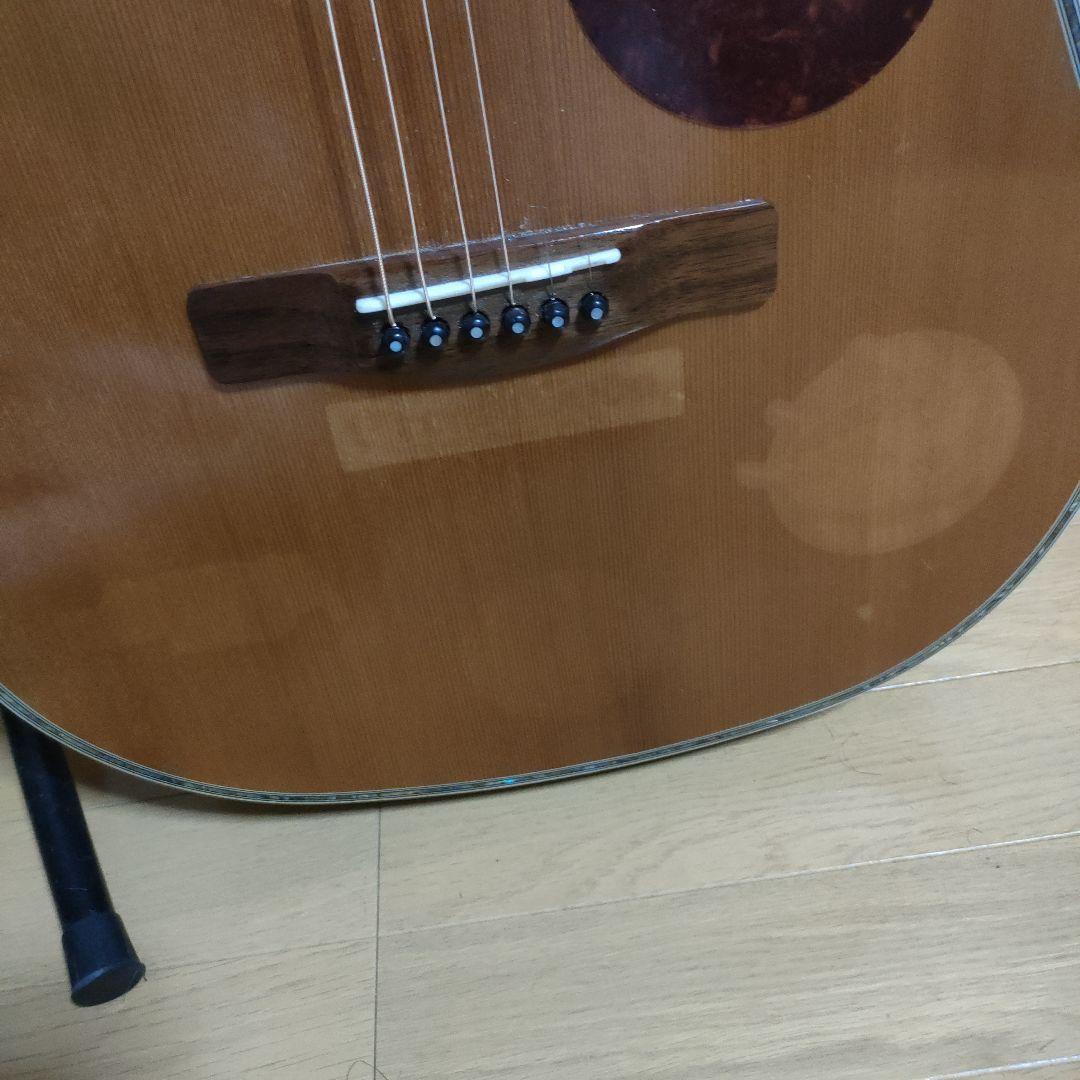 ギター Greg Bennett D-8