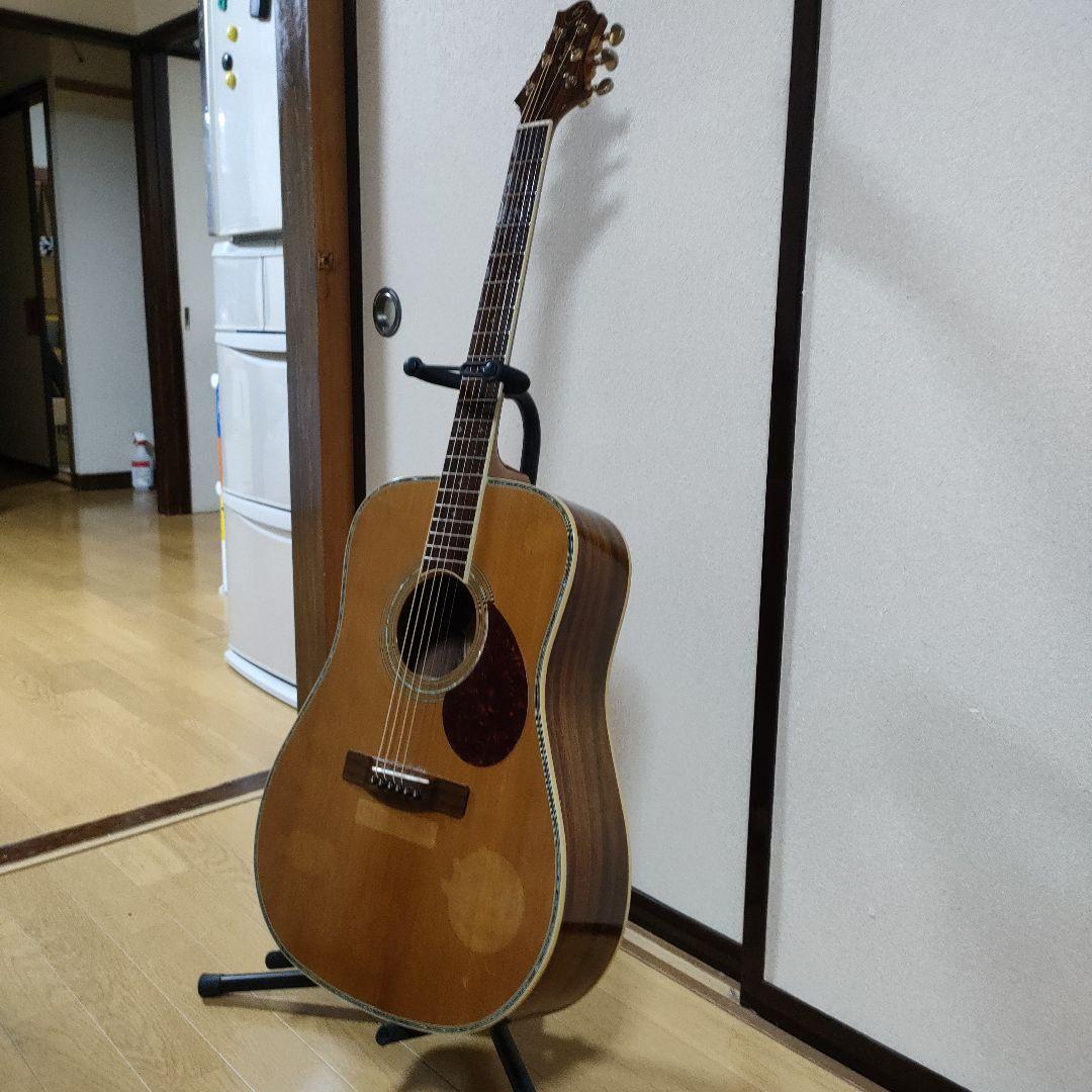 ギター Greg Bennett D-8