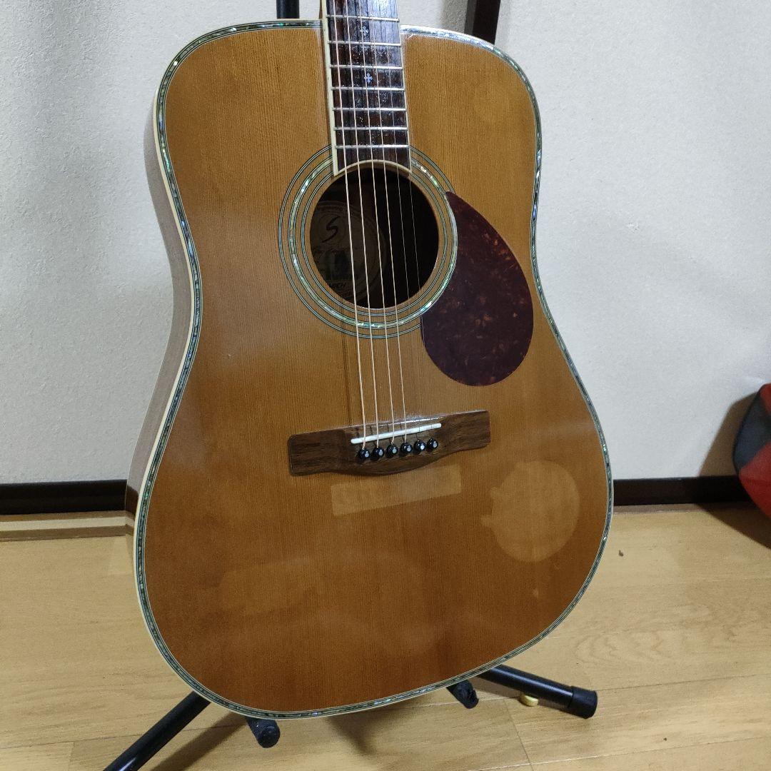 ギター Greg Bennett D-8