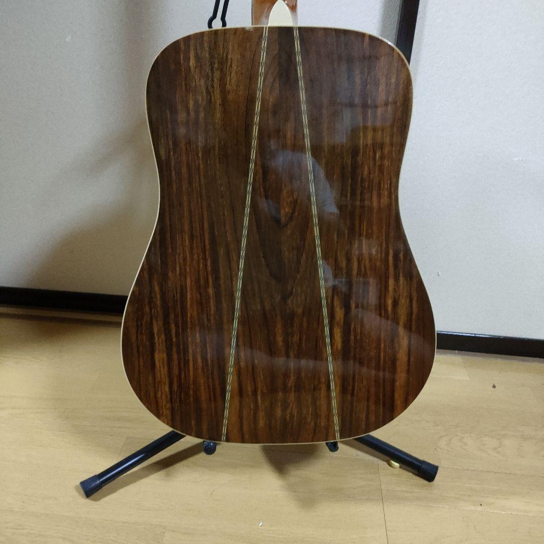 ギター Greg Bennett D-8