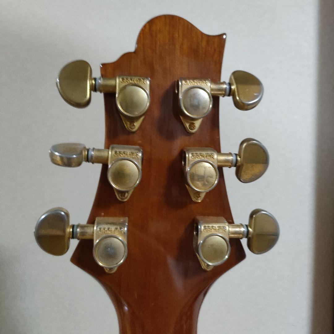 ギター Greg Bennett D-8