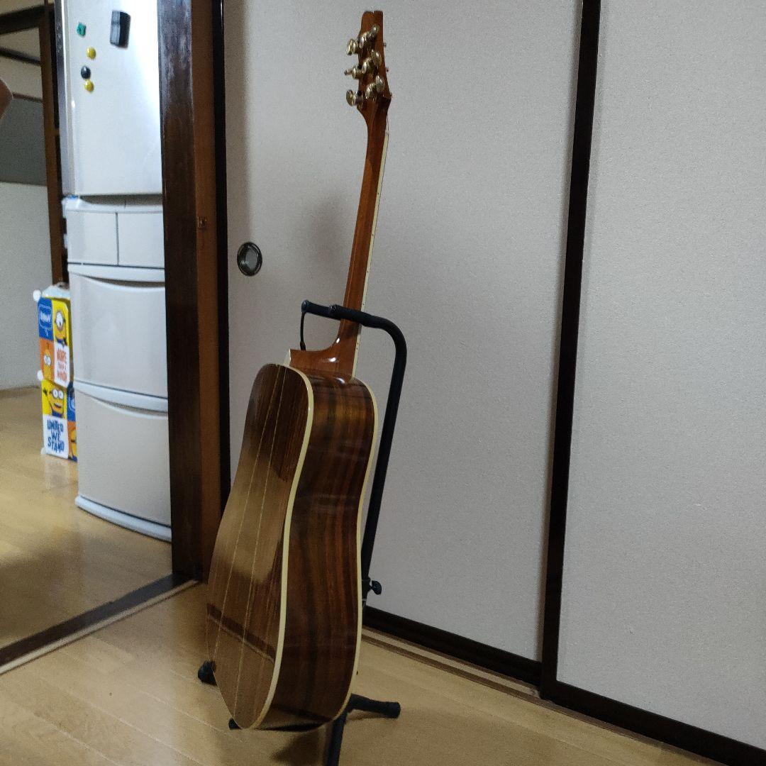 ギター Greg Bennett D-8