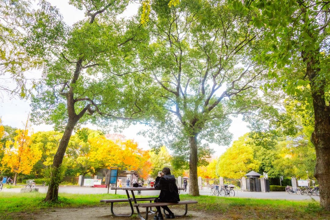 【キンキム様】7Dセット販売 レンズ