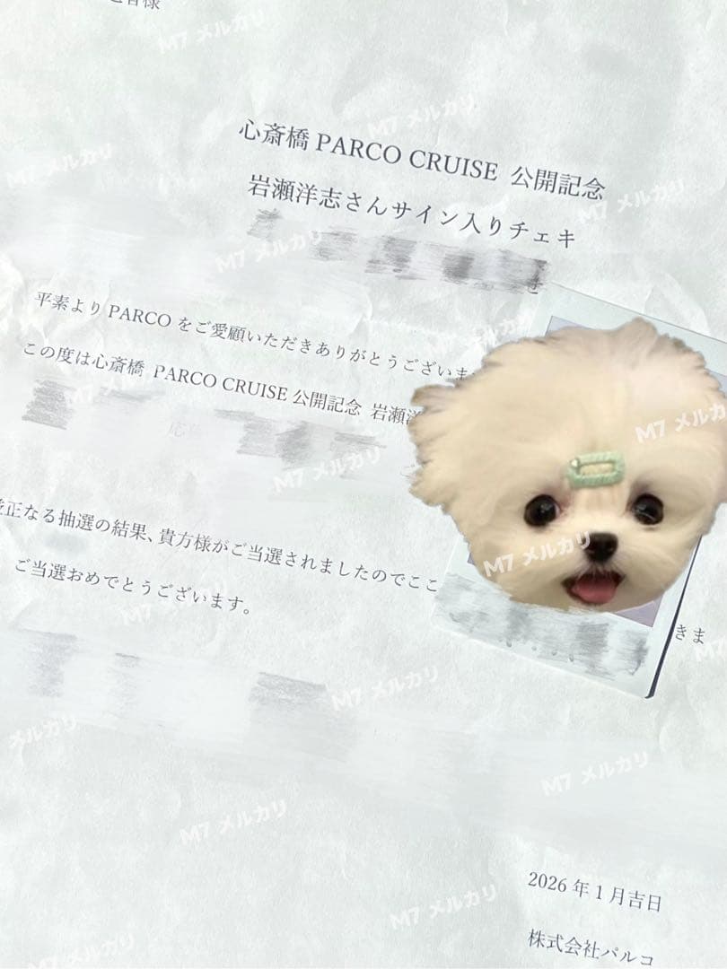 岩瀬洋志 サイン入り チェキ