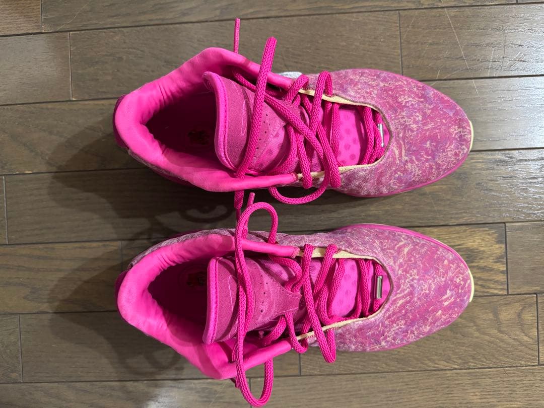 Nike バスケットボールシューズ レブロン21