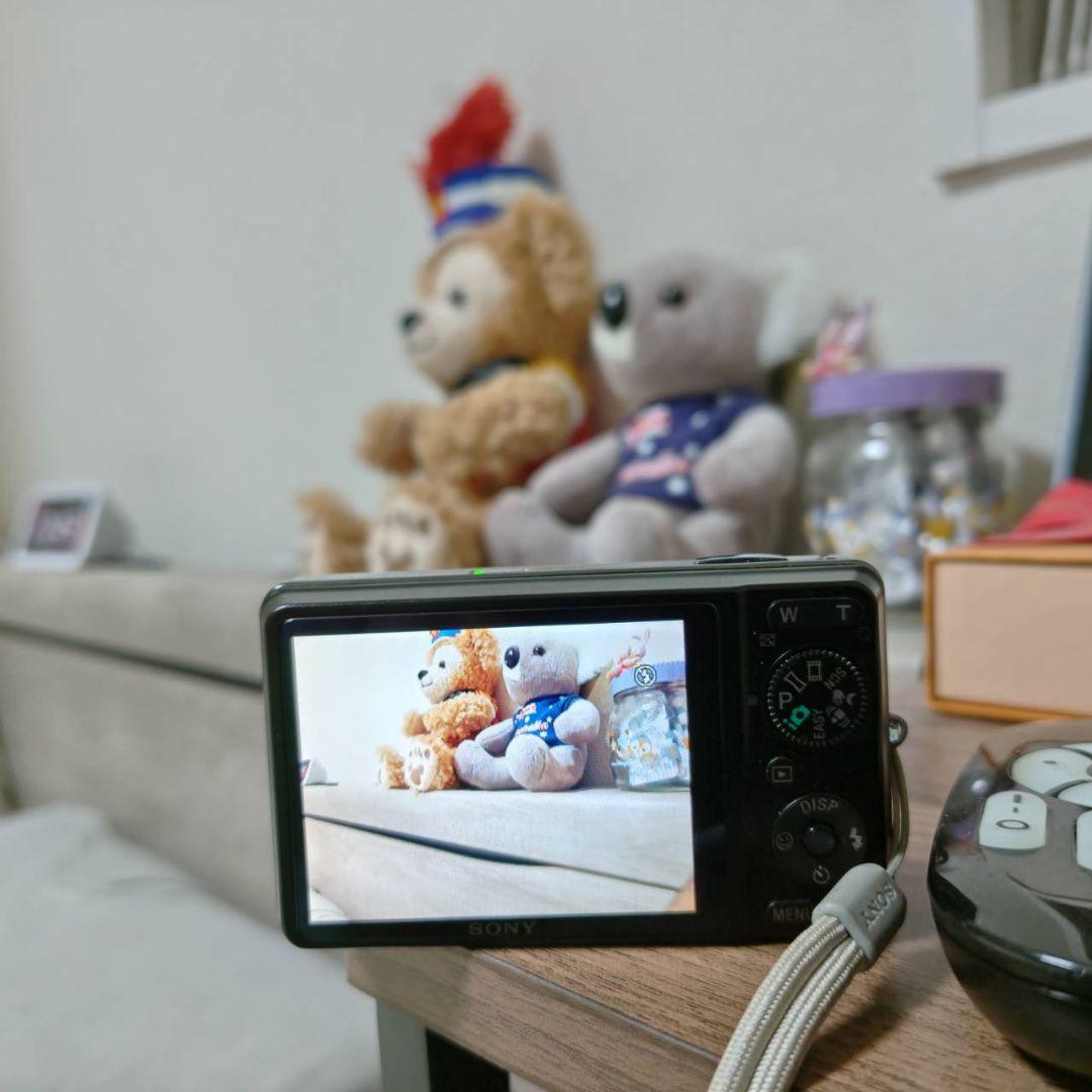 SONY Cyber-shot DSC-WX1 シルバー 動作確認済み