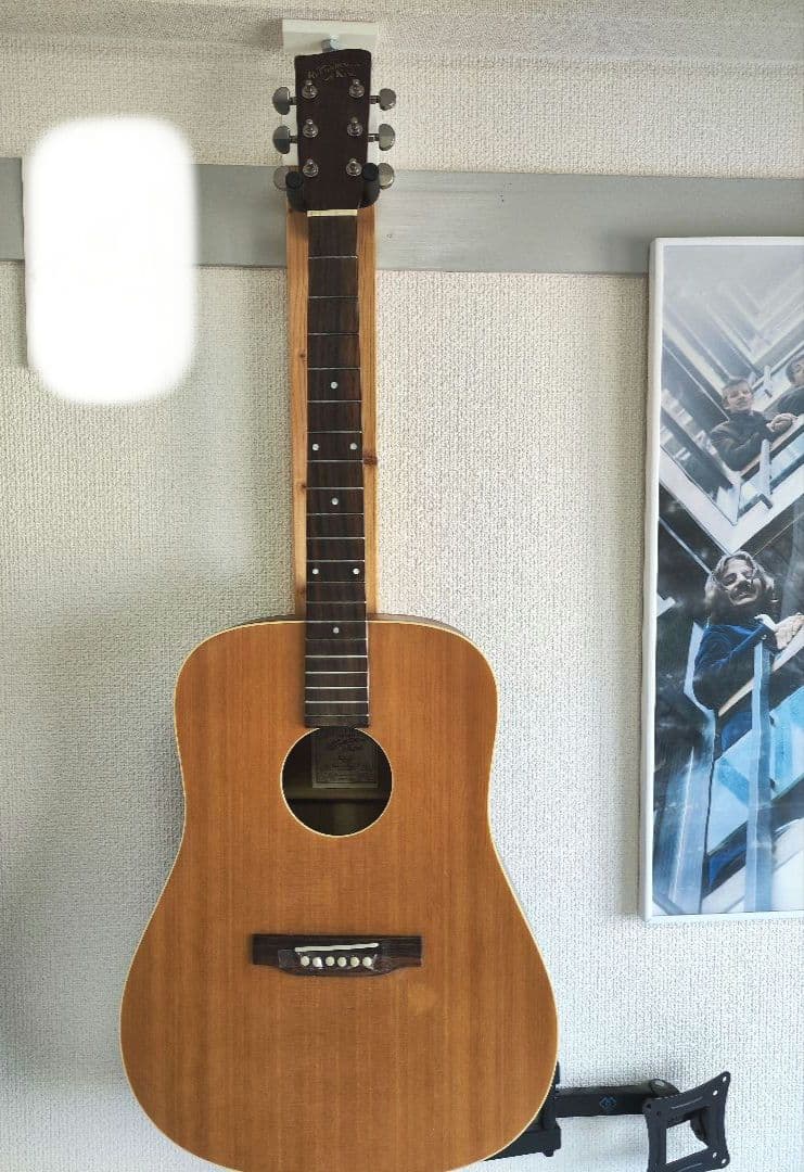 入手困難 Recording King RD-A9M オール単板 ドレッドノート