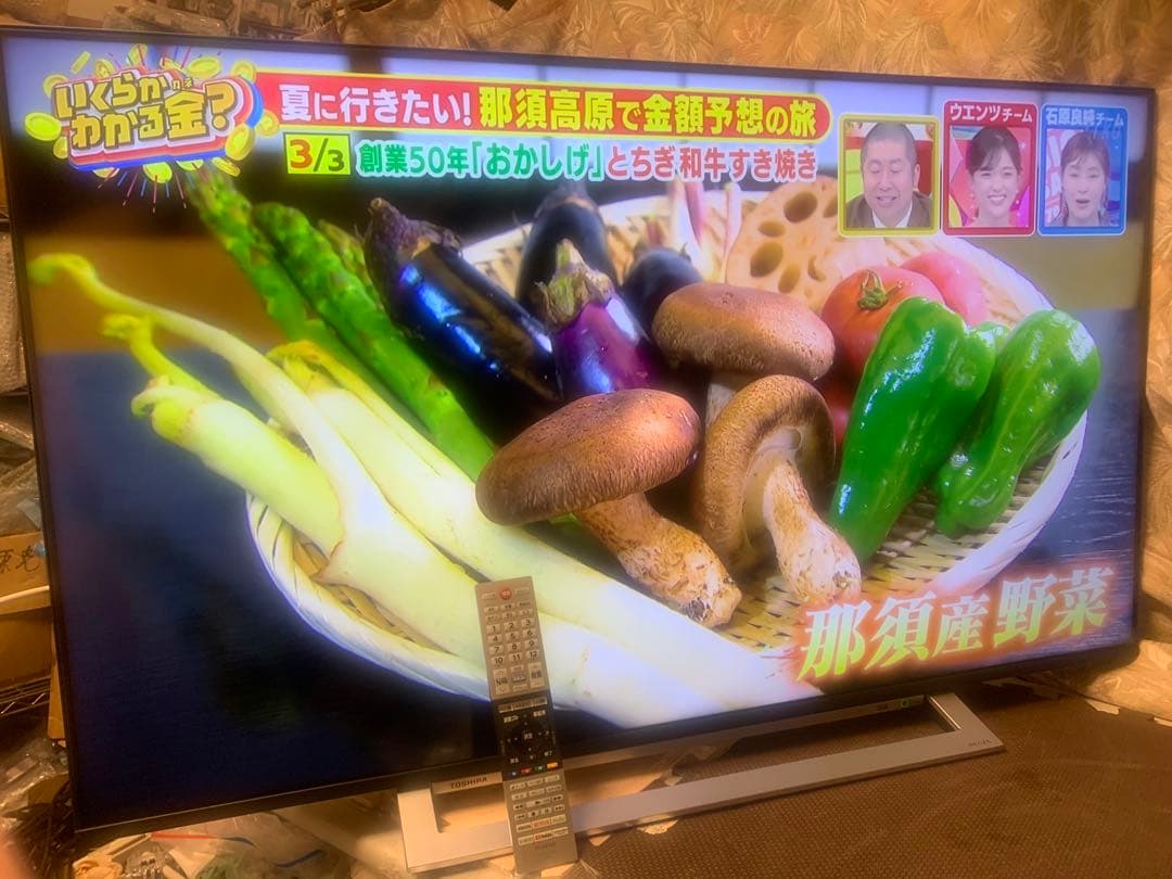 REGZA 50V型 液晶テレビ レグザ 50M540X 4Kチューナー内蔵