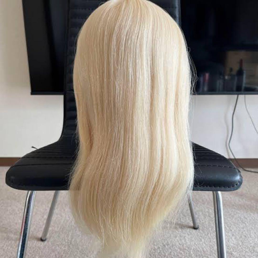 レジーナ LJ-002G 金髪 ブロンド ウィッグ ヘアアレンジ 美容学生 実習