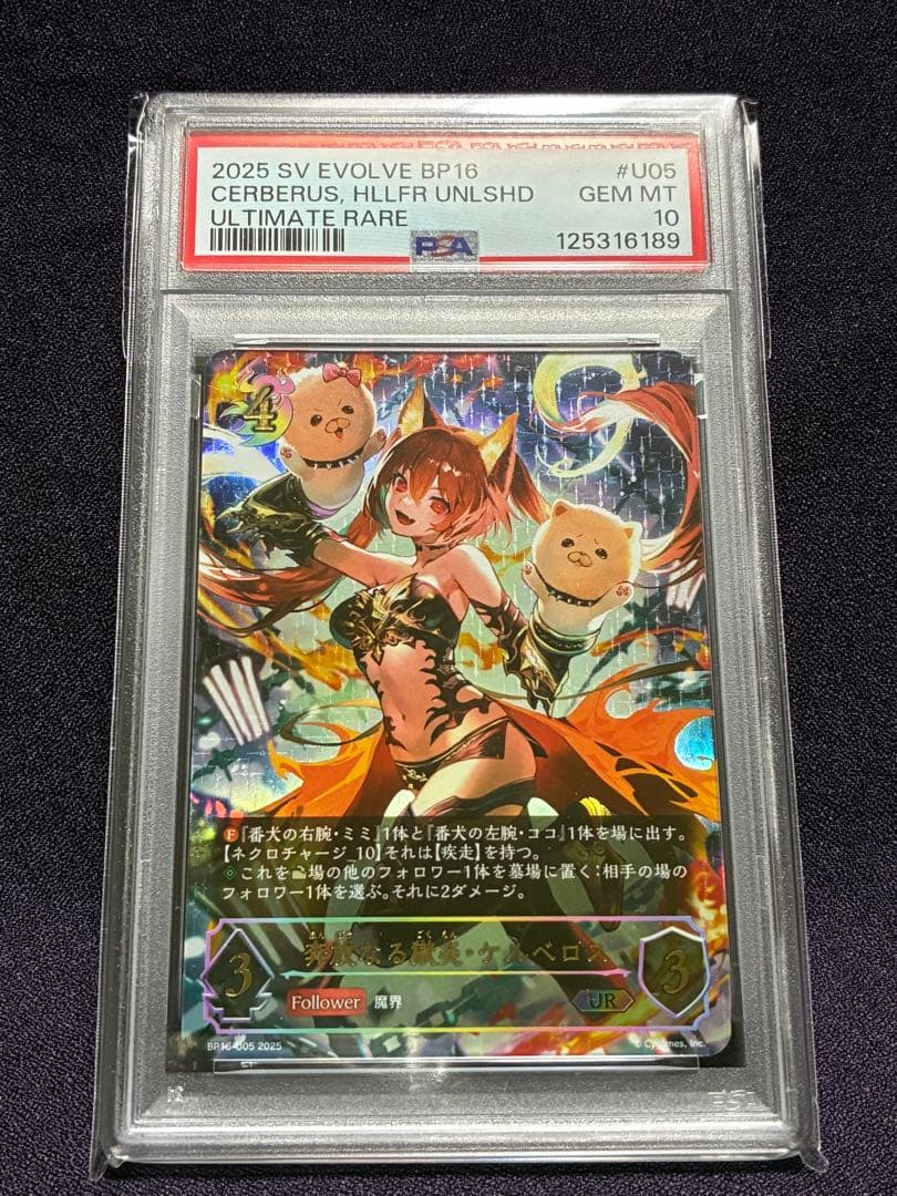PSA10 奔放なる獄炎 ケルベロス UR シャドウバース エボルヴ ミミ ココ
