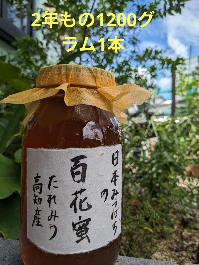 日本ミツバチ 蜂蜜 令和7年 採れたて 1200g 2年物たれ蜜 非加熱　百花蜜