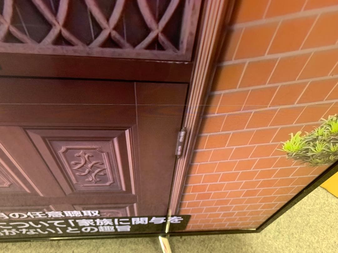 Panasonic パナソニック TH-43DX750 液晶テレビ 2016年製