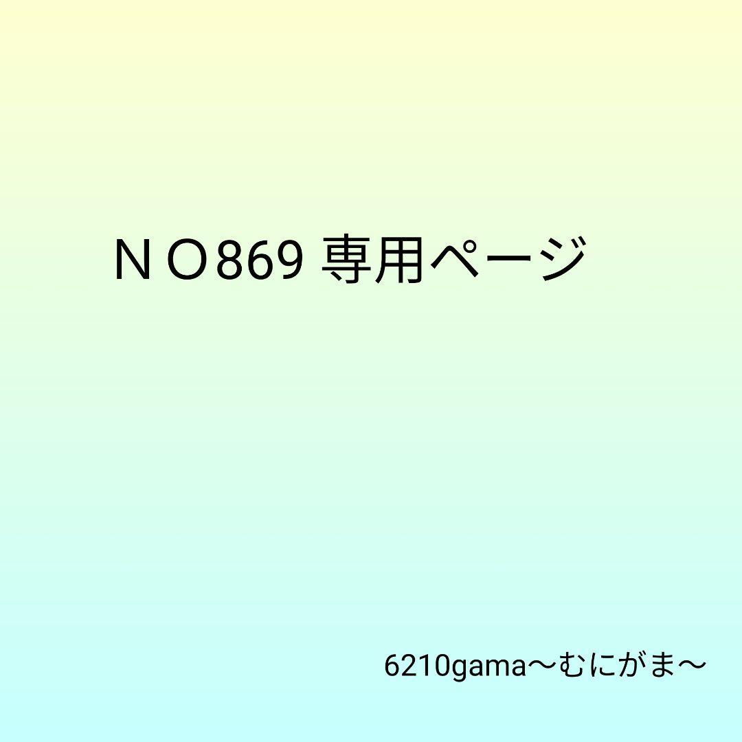 NO869 コロンページ