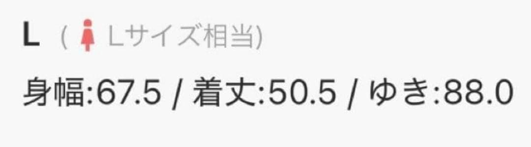 【新品・L】GAP 30th アニバーサリー ヘビーウェイト パーカー