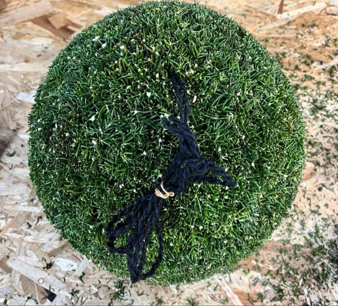 杉玉　約40センチ‼️お客様ご注文品　縁起物　丸くて幸せ　家族円満♪