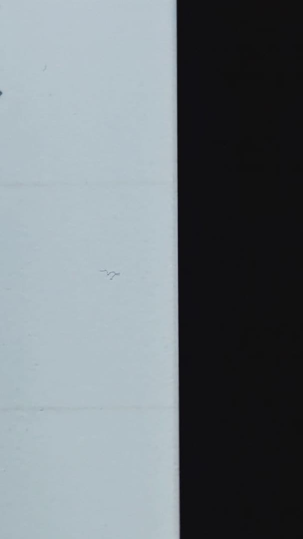 Kindle　Paperwhite　シグニチャーエディション　11世代　訳あり