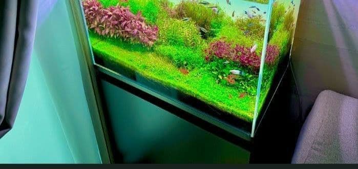 yymm　水槽フルセット ①