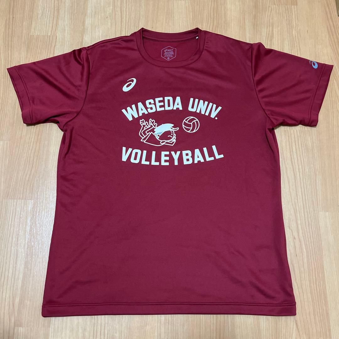 早稲田大学 バレーボールTシャツ