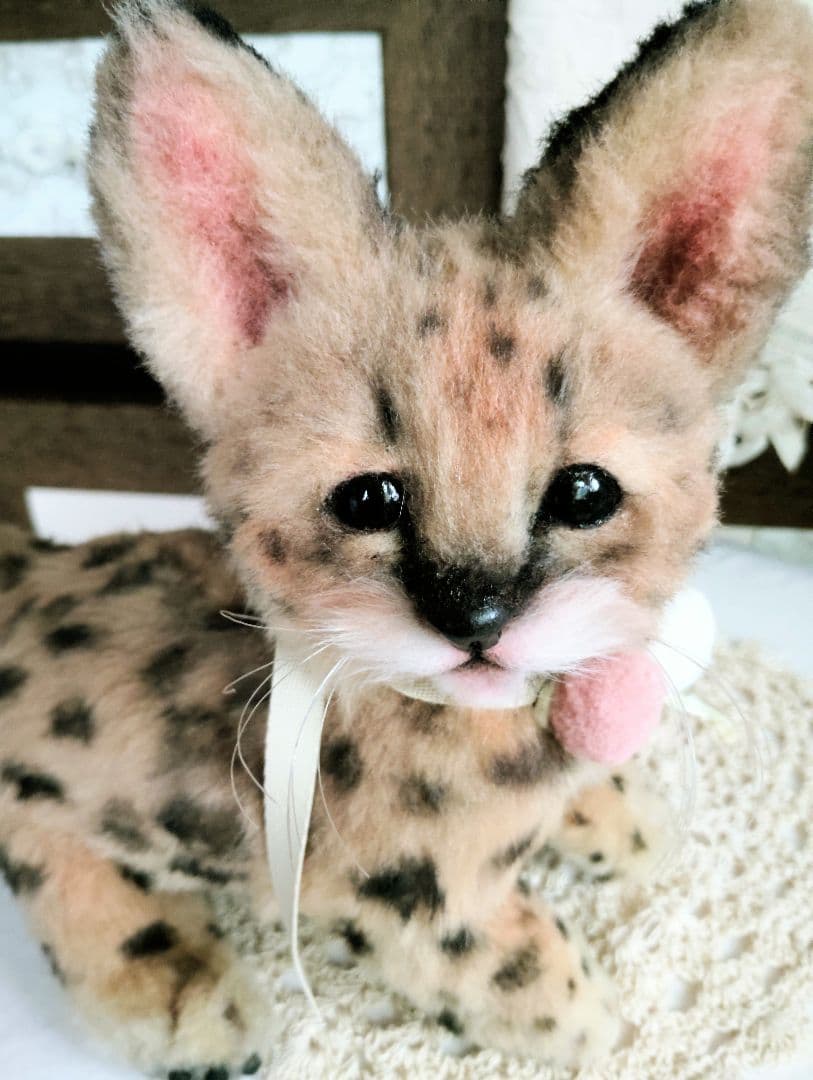 生後２ヶ月♡ベビーサーバルキャット♡アートドール♡ぬいぐるみ♡子猫ちゃん♡