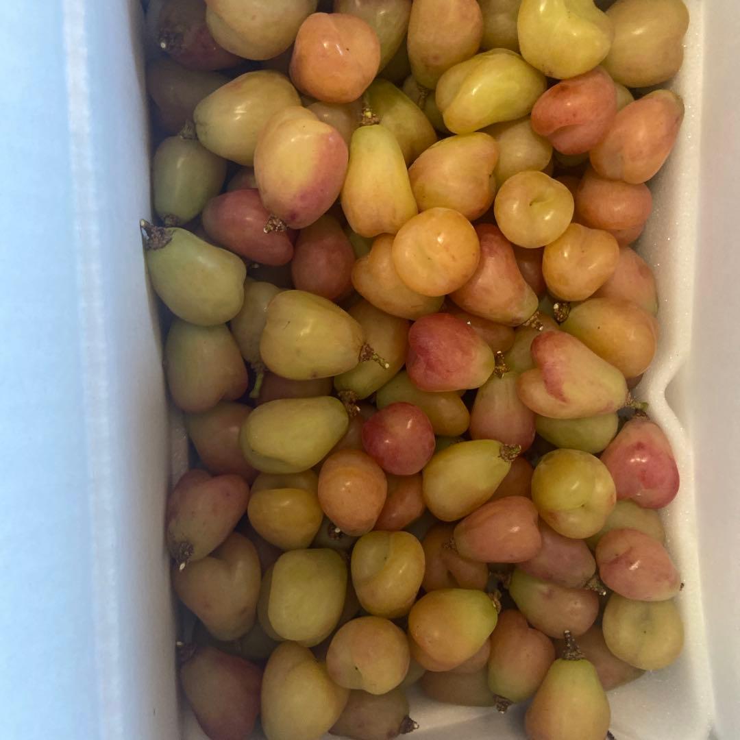 朝採り　うっすら可愛いマイハート　粒　箱込み5.5キロキロ