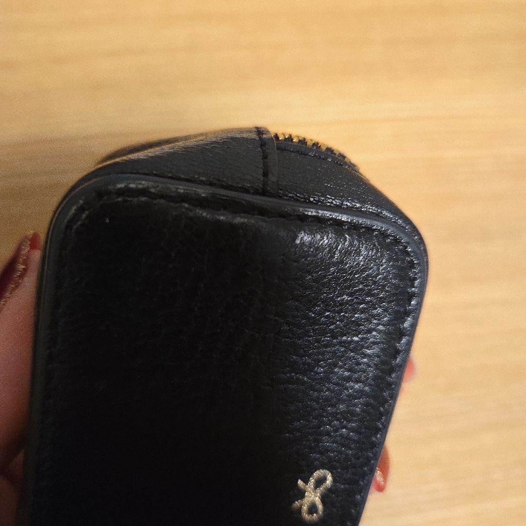 アニヤ・ハインドマーチ アイズ ケース