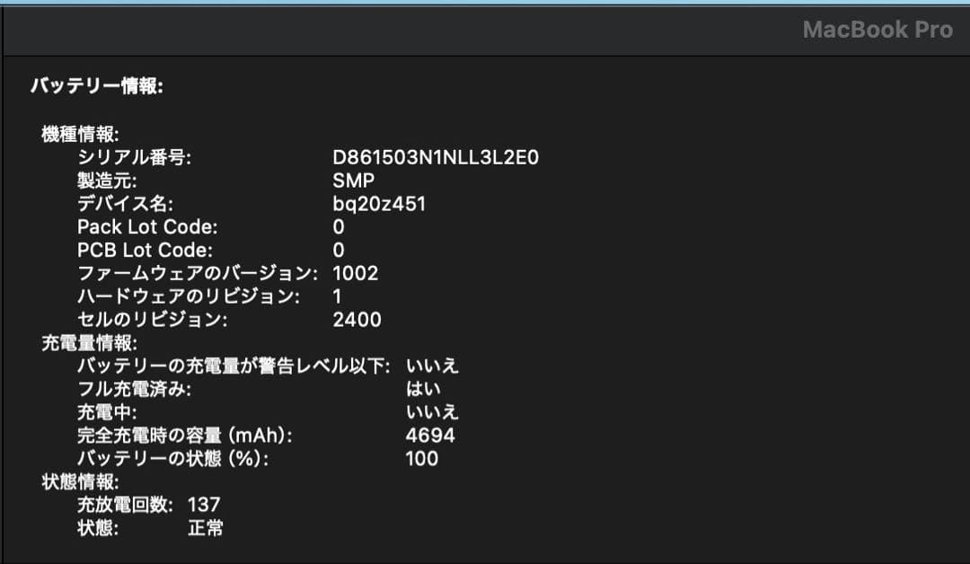 MacBook Pro 13 2019 16GB/256GB バッテリー良好