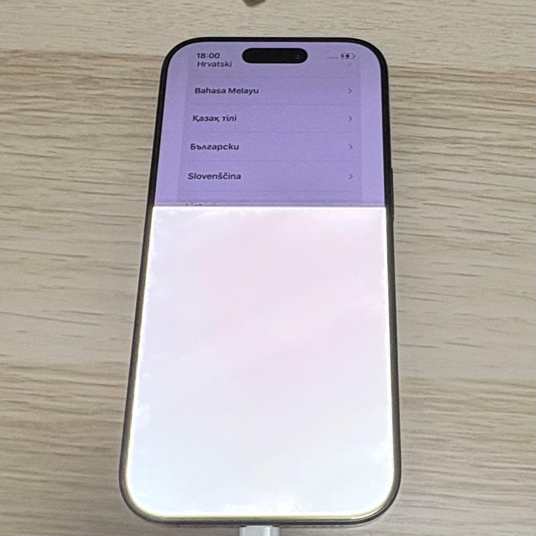 Apple iPhone 16 Pro 本体　256GB 画面不良あり