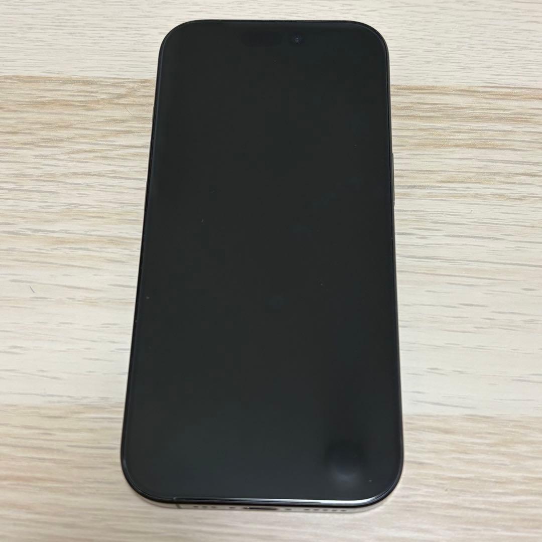 Apple iPhone 16 Pro 本体　256GB 画面不良あり