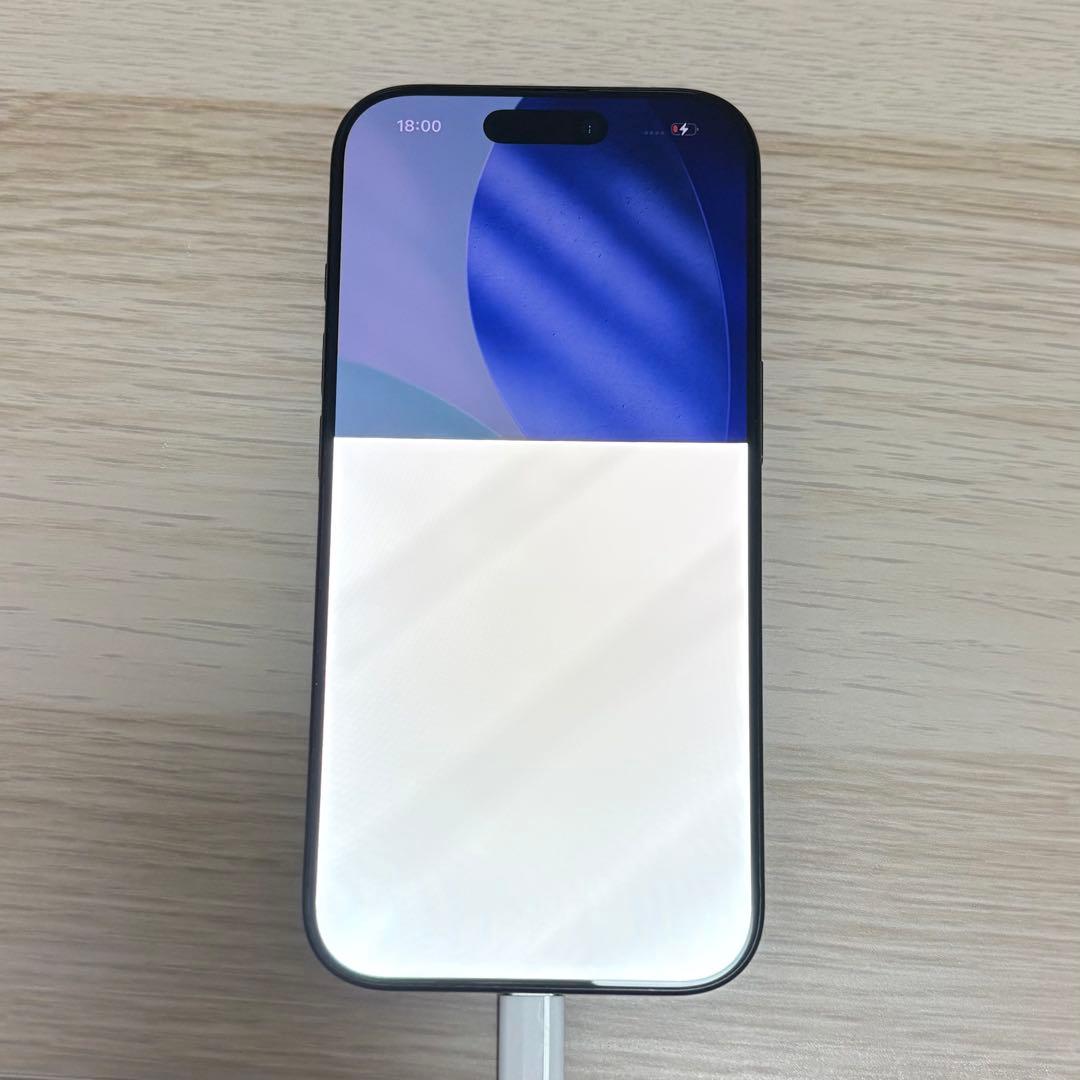 Apple iPhone 16 Pro 本体　256GB 画面不良あり