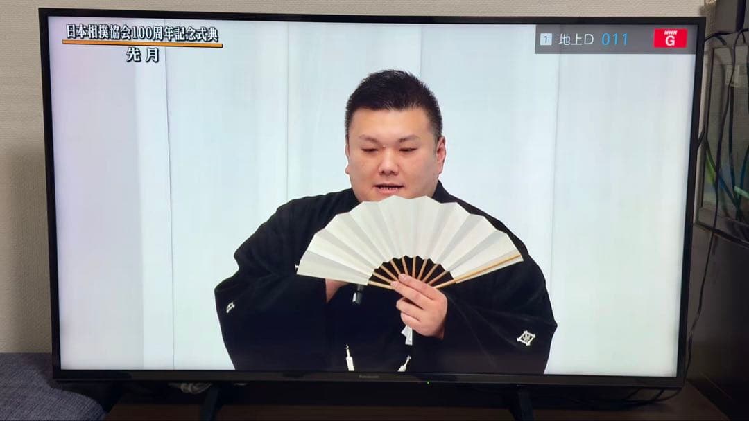 パナソニック49V型 液晶テレビ ビエラ TH-49FX600 4K