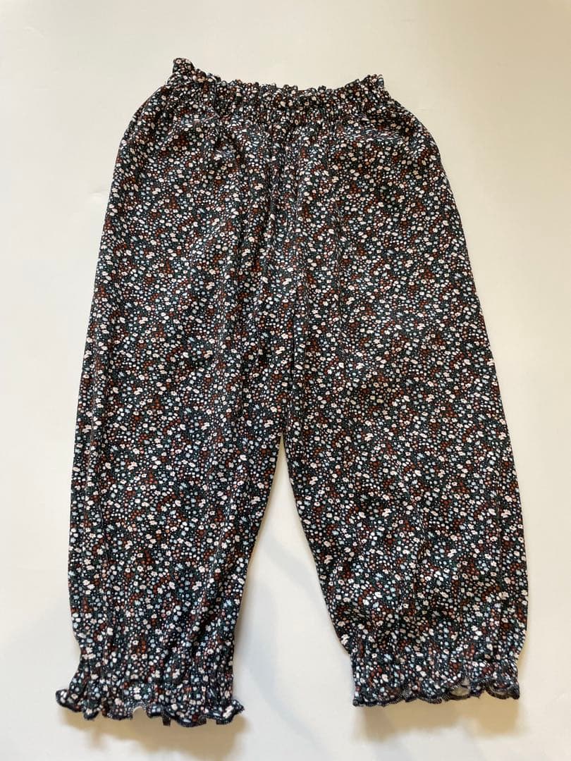 【わんだふるさま専用】