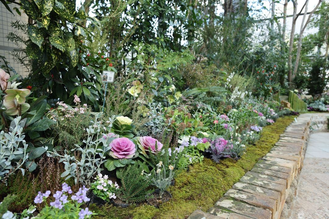 キヤノン Canon EF24mm F2.8